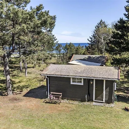 12242-sjaellands-odde-faellesskoven-10